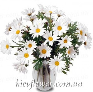 Букет "Ромашки"  — Букети квітів купити з доставкою в KievFlower.  Артикул: 0568