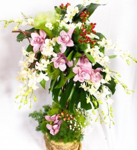 Tree Garden of Eden - Order bouquets of flowers with delivery on KievFlower. Reference: 0734