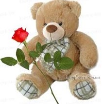 Bear with a rose - February 14 order with delivery in KievFlower. Reference: 06013