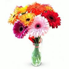 Multicolored gerberas — KievFlower - flowers to Kiev & Ukraine 