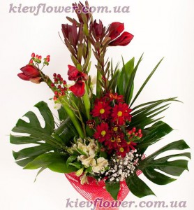 Экзотический бизнес-букет — Букеты цветов заказать с доставкой в KievFlower.  Артикул: 1015