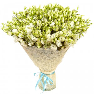 Сицилія — Букети квітів купити з доставкою в KievFlower.  Артикул: 