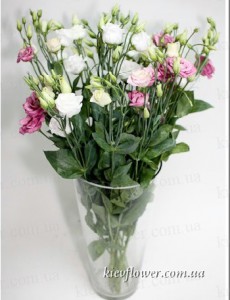Eustoma - Chinese rose - Order bouquets of flowers with delivery in KievFlower. Reference: 0621