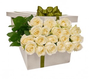 Білі троянди в подарунковій коробці — Kievflower - Доставка квiтiв