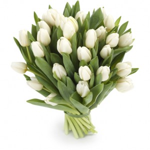 Белые тюльпаны -  поштучно — Букеты цветов заказать с доставкой в KievFlower.  Артикул: 0562