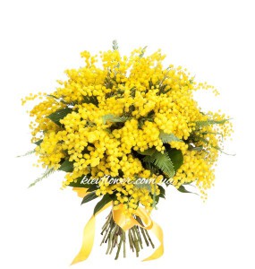 Bouquet of mimosa - Order bouquets of flowers with delivery on KievFlower.