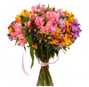 35 alstromeries — KievFlower - flowers to Kiev & Ukraine 