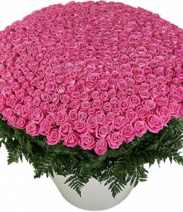 Композиція з троянд "Рожева Пантера" — Букети квітів купити з доставкою в KievFlower.  Артикул: 8027