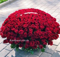 Basket of 501 Roses "LUX"