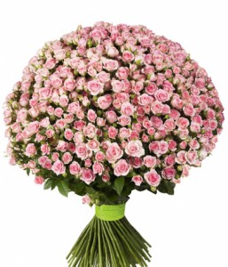 Букет из 101 розовой кустовой розы — Kievflower - Доставка цветов
