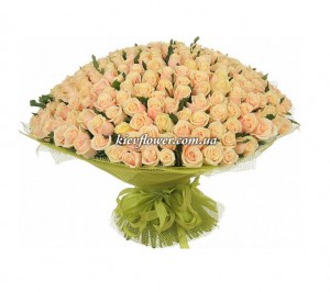 Букет из 301  кремовой розы "Моей Королеве" — Букеты цветов заказать с доставкой в KievFlower.  Артикул: 44554