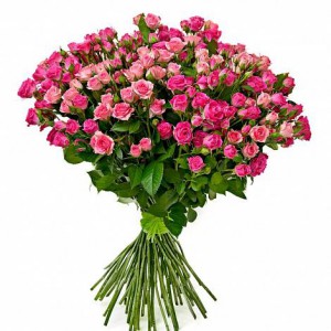 Букет з 51 рожевої кущової троянди — Kievflower - Доставка квiтiв