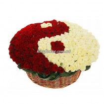 Composition of 351 roses "Yin and Yang"