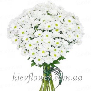 Букет ромашок "Посміхнись" — Букети квітів купити з доставкою в KievFlower.  Артикул: 0507