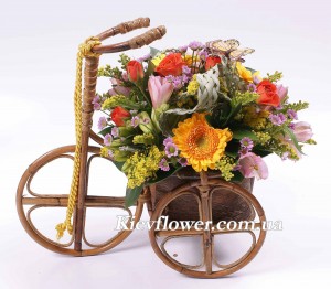 Весела прогулянка — Букети квітів купити з доставкою в KievFlower.  Артикул: 05771