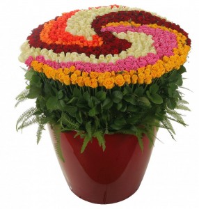 Composition of roses "Love Story" 555 roses - Roses order with delivery in KievFlower. Reference: 8026