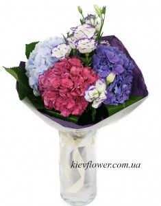 Hydrangeas bloom in the garden — KievFlower - flowers to Kiev & Ukraine 
