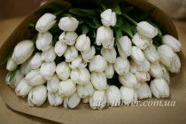 Букет 51 білого тюльпана