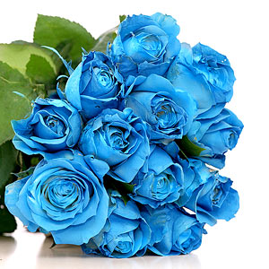 Букет синіх троянд 25 шт. — Букети квітів купити з доставкою в KievFlower.  Артикул: 1285