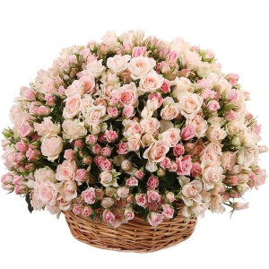 Кошик з 101 рожевої кущової троянди — Kievflower - Доставка квiтiв