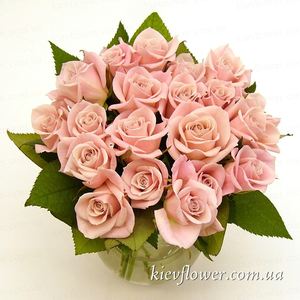 Букет з 19 ніжно-рожевих троянд — Букети квітів купити з доставкою в KievFlower.  Артикул: 1220