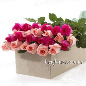 25 троянд в подарунковій коробці (Роза Еквадор) — Квіти в подарункових коробках купити з доставкою в KievFlower.  Артикул: 0656