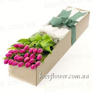 25 тюльпанів у подарунковій коробці — Квіти в подарункових коробках купити з доставкою в KievFlower.  Артикул: 0648