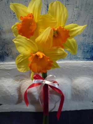 3 Narcissus Daffodils - MARCH 8 - Corporate gifts order delivery in KievFlower. Reference: 17993