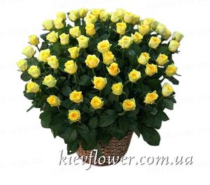 75 роз в корзине — Букеты цветов заказать с доставкой в KievFlower.  Артикул: 1280