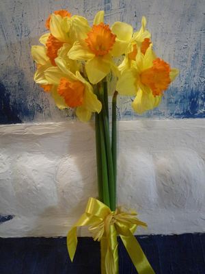 7 daffodils - MARCH 8 - Corporate gifts order delivery in KievFlower. Reference: 17991