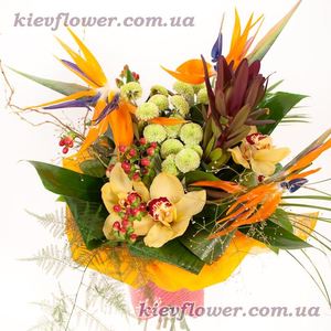 Сафарі — Букети квітів купити з доставкою в KievFlower.  Артикул: 1026