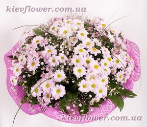 Букет з рожевих хризантем — Букети квітів купити з доставкою в KievFlower.  Артикул: 0561