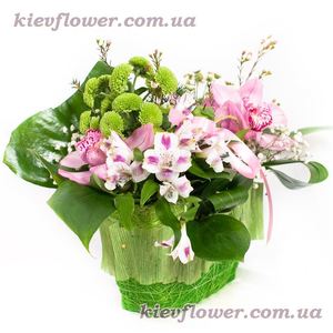 Handbag with orchids - Order bouquets of flowers with delivery on KievFlower. Reference: 0768