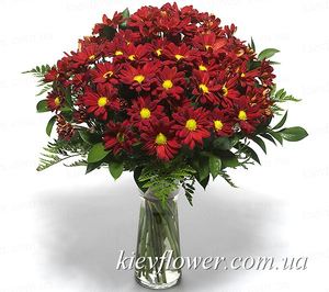 Букет бордових хризантем — Букети квітів купити з доставкою в KievFlower.  Артикул: 1226