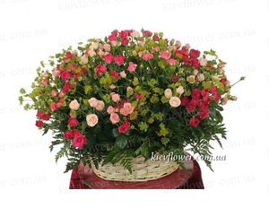 Корзина роз "Дива" — Букеты цветов заказать с доставкой в KievFlower.  Артикул: 7020