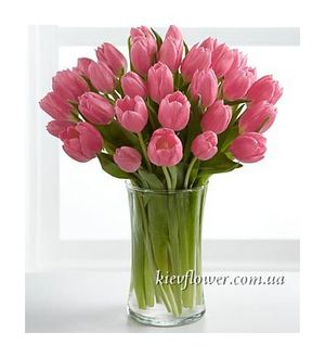 Букет з 35 рожевого тюльпана — Букети квітів купити з доставкою в KievFlower.  Артикул: 0559