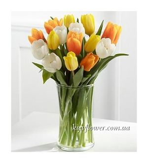 Букет з 19 весняних тюльпанів — Букети квітів купити з доставкою в KievFlower.  Артикул: 0558