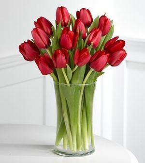 Offer! Red tulips 25 / 19pcs - Bouquets of flowers order with delivery in KievFlower. Reference: 8883