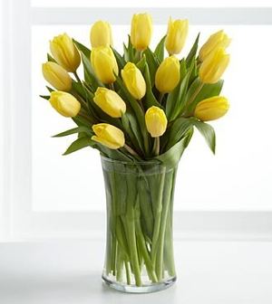 Акція! Жовті тюльпани 25 / 19шт — Букети квітів купити з доставкою в KievFlower.  Артикул: 0885