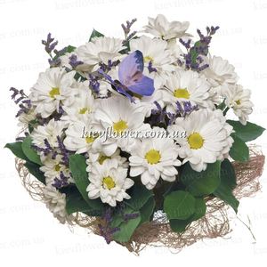 Bouquet "Chamomile miracle" - Bouquets of flowers order with delivery in KievFlower. Reference: 0531