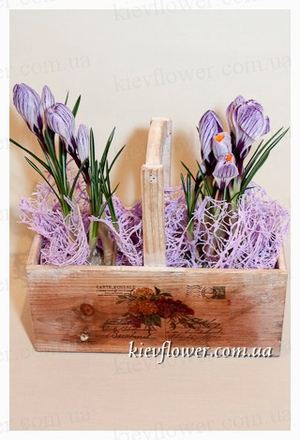 Box with crocuses - MARCH 8 - Corporate gifts order delivery in KievFlower. Reference: 1816