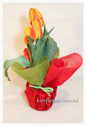 Композиция "тюльпаны" — Букеты цветов заказать с доставкой в KievFlower.  Артикул: 1824