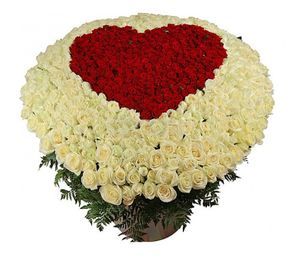 Пламенное сердце - 501 роза — Букеты цветов заказать с доставкой в KievFlower.  Артикул: 0811