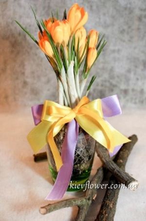 Crocuses "March 8" - MARCH 8 - Corporate gifts order delivery in KievFlower. Reference: 1795