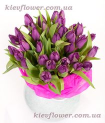 25 фіолетових тюльпанів