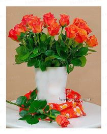 Букет "Капелла" 25 троянд