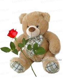 Bear with a rose