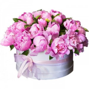 Peonies in a big hat box — KievFlower - flowers to Kiev & Ukraine 