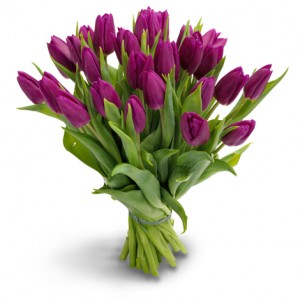 27 фиолетовых тюльпанов — Букеты цветов заказать с доставкой в KievFlower.  Артикул: 0569