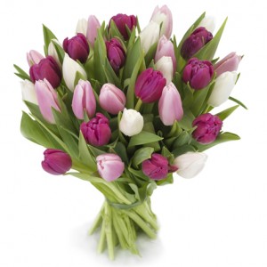 Букет "Ты прекрасна!" 35 тюльпанов — Букеты цветов заказать с доставкой в KievFlower.  Артикул: 0550